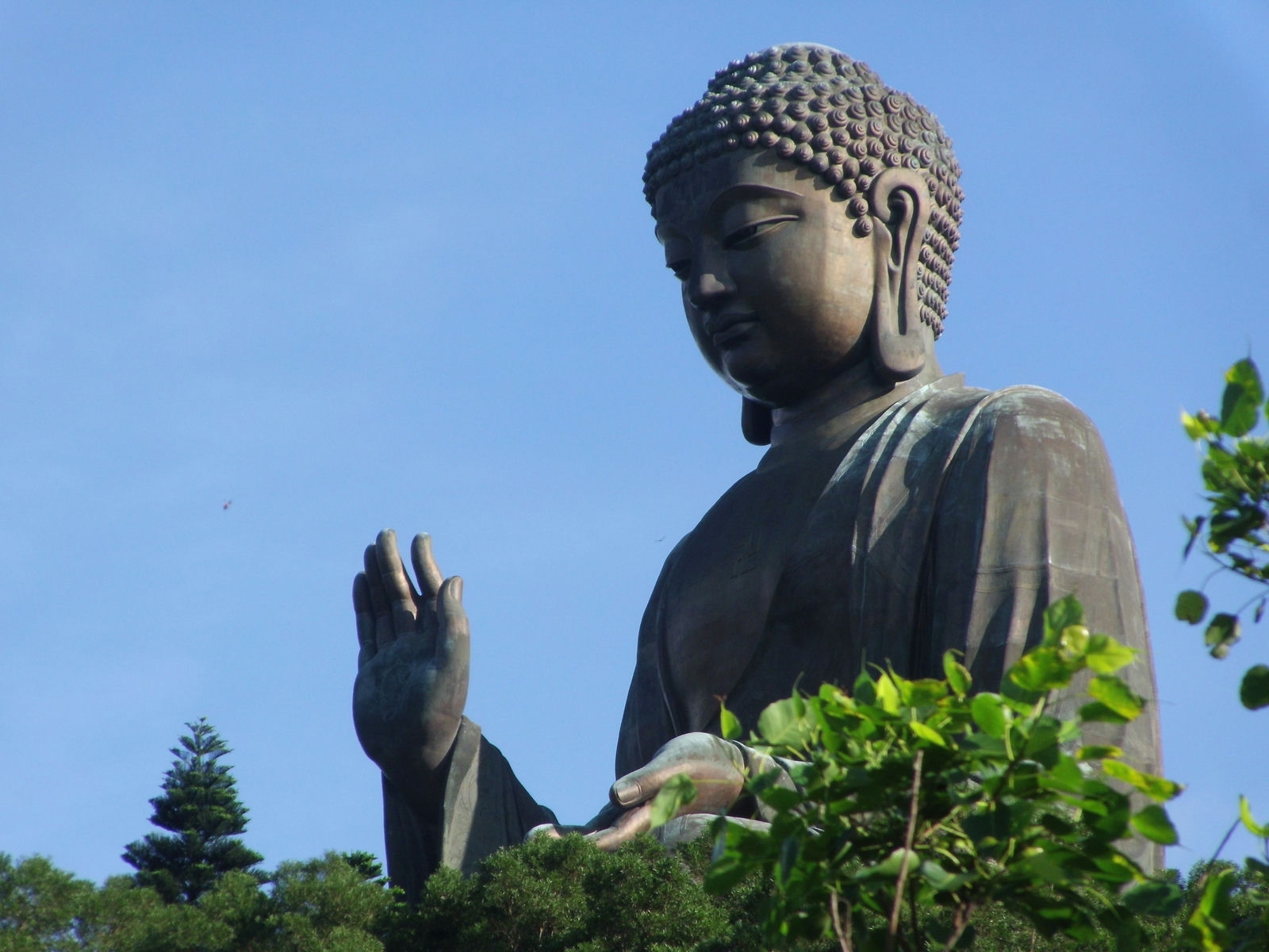 Lantau Island Big Buddha private car tour