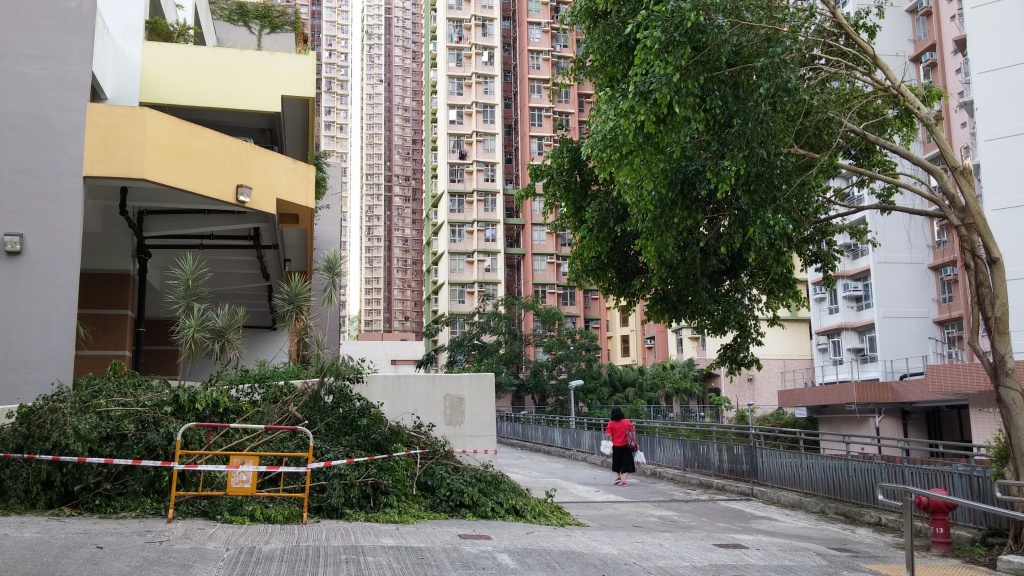 Devastating wind of Severe Typhoon Hato causes damages in Hong Kong