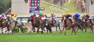 Sha Tin Race Course International Races 13 Dec 2015