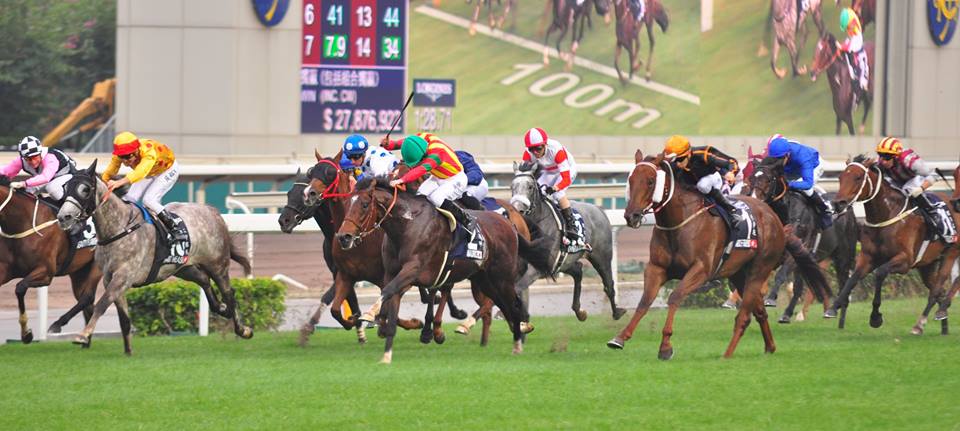 Sha Tin Race Course International Races 13 Dec 2015