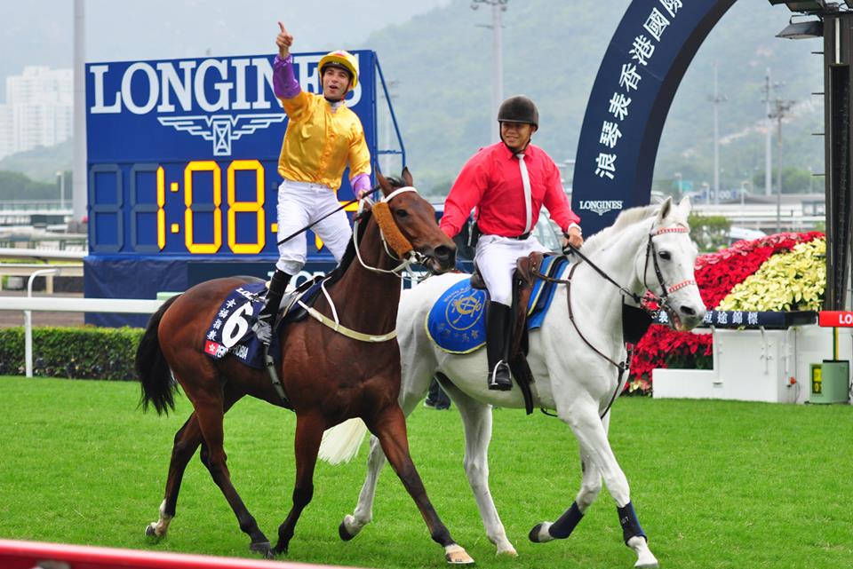 Sha Tin Race Course International Races 2015 the winning horse