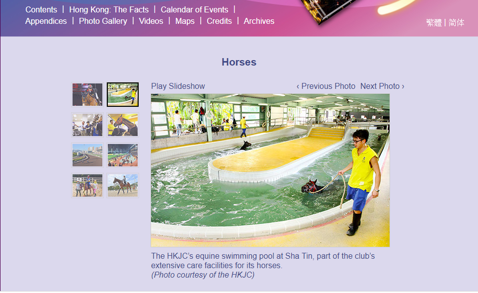 The mafoos (horses carers) help the horses to go swimming (screen shot from Hong Kong Year Book Website)