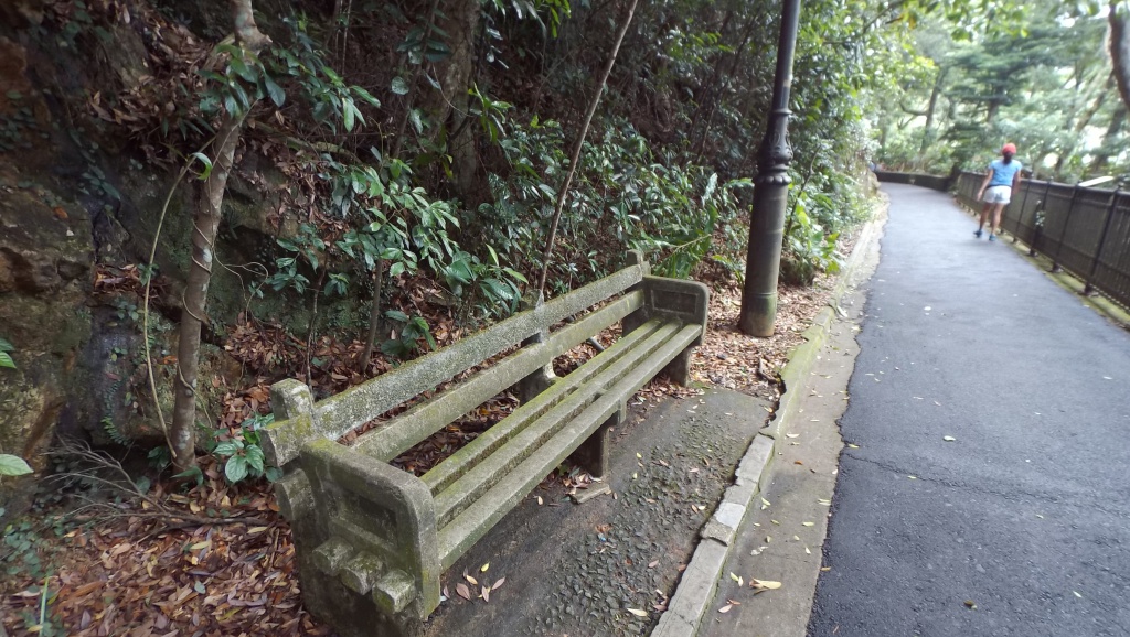 Old stone bench at Lugard Road