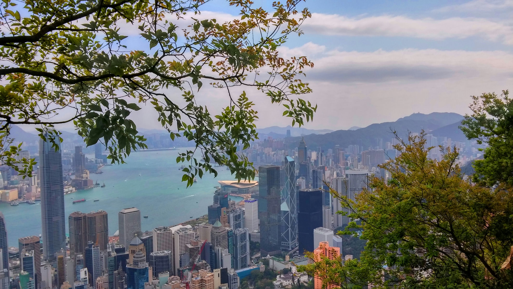 The skyscrapers in Central are close to the country park at the Victoria Peak.