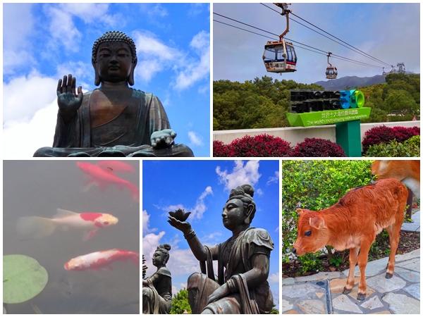 Lantau Island Big Buddha private car tour highlights include Big Buddha and Ngong Ping Cable Car.
