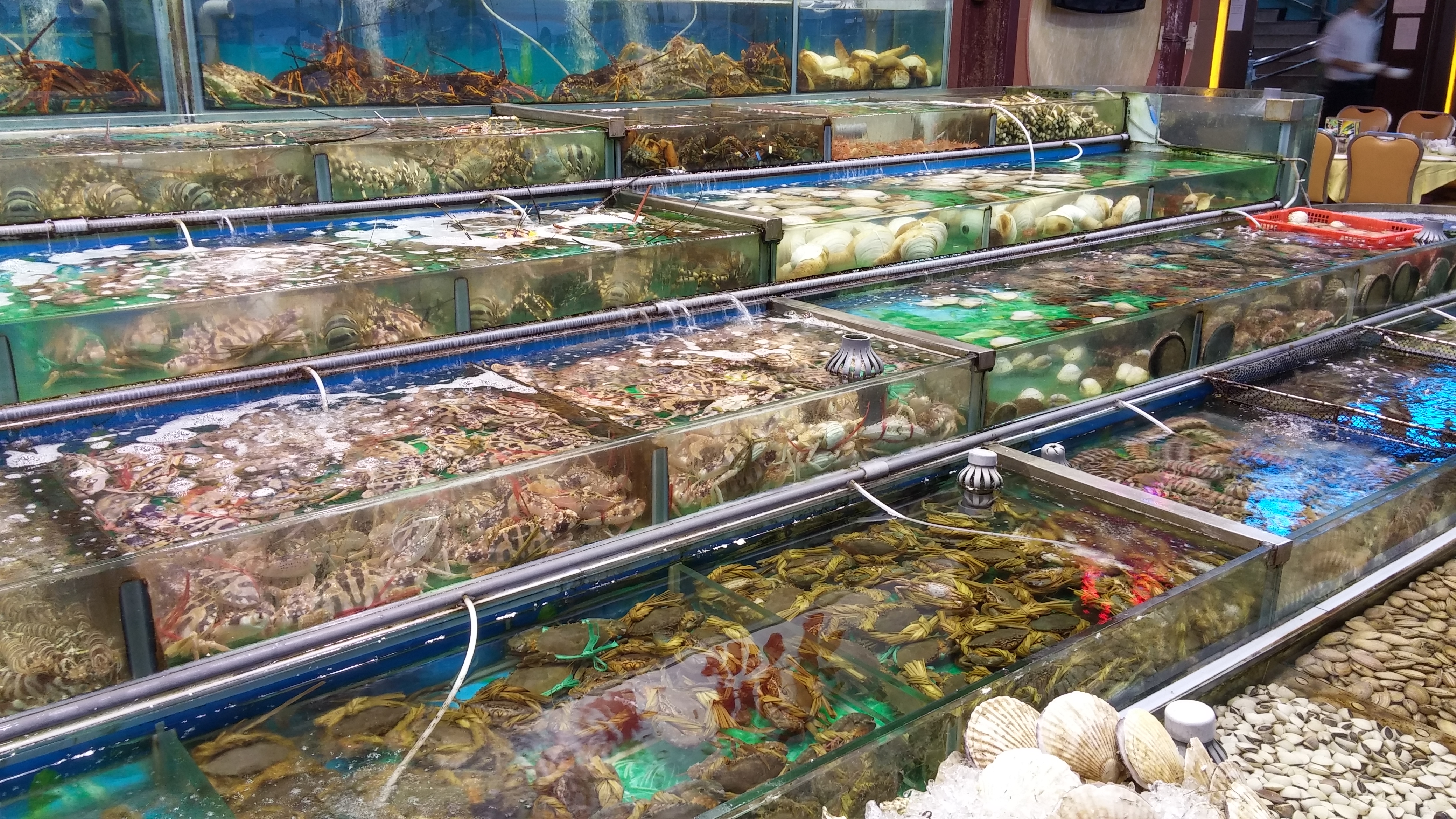 Sai Kung seafood restaurant