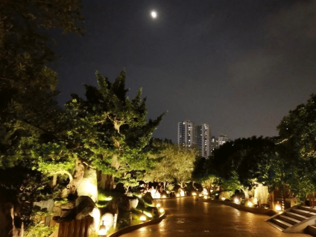 Nan Lian Garden scenery at night gif