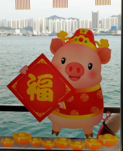 pig in red clothes, sea view back drop