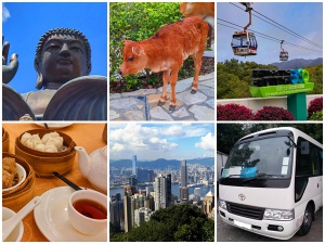 Big Buddha, calf, cable car, dim sum, skyline, bus