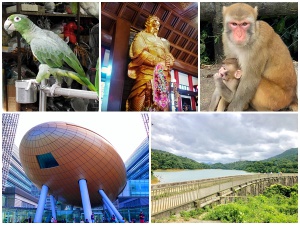 Parrot, statue, monkeys, Hong Kong Science Park, Reservoir