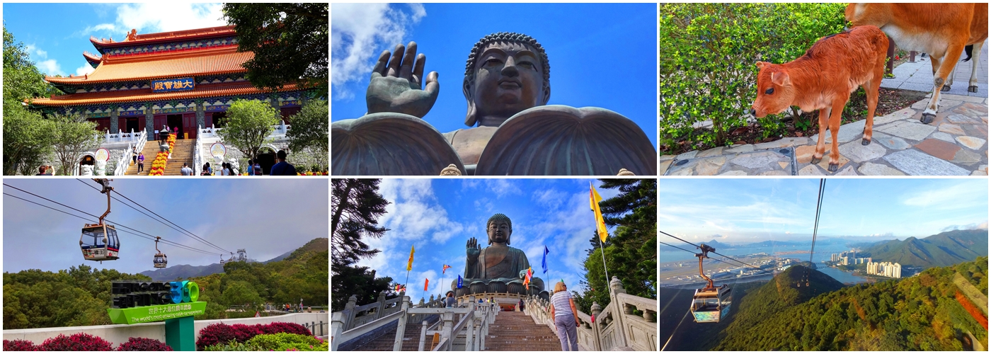 Po Lin Temple, Big Buddha, calf, Ngong Ping Cable Car, Steps to Big Buddha, view outside Cable Car