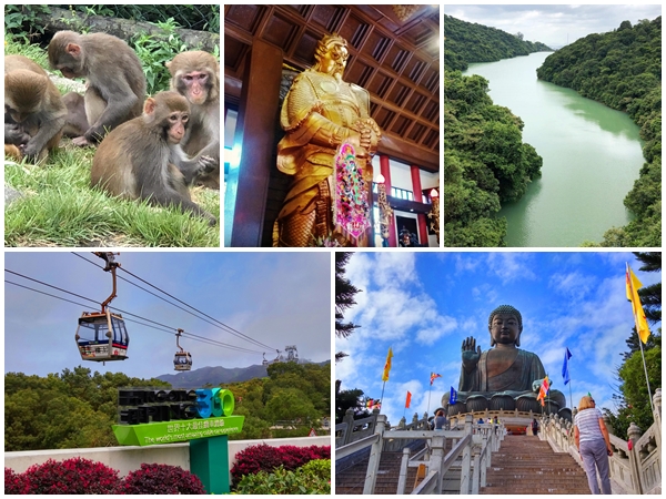 monkeys, statue, reservoir, cable car, Big Buddha