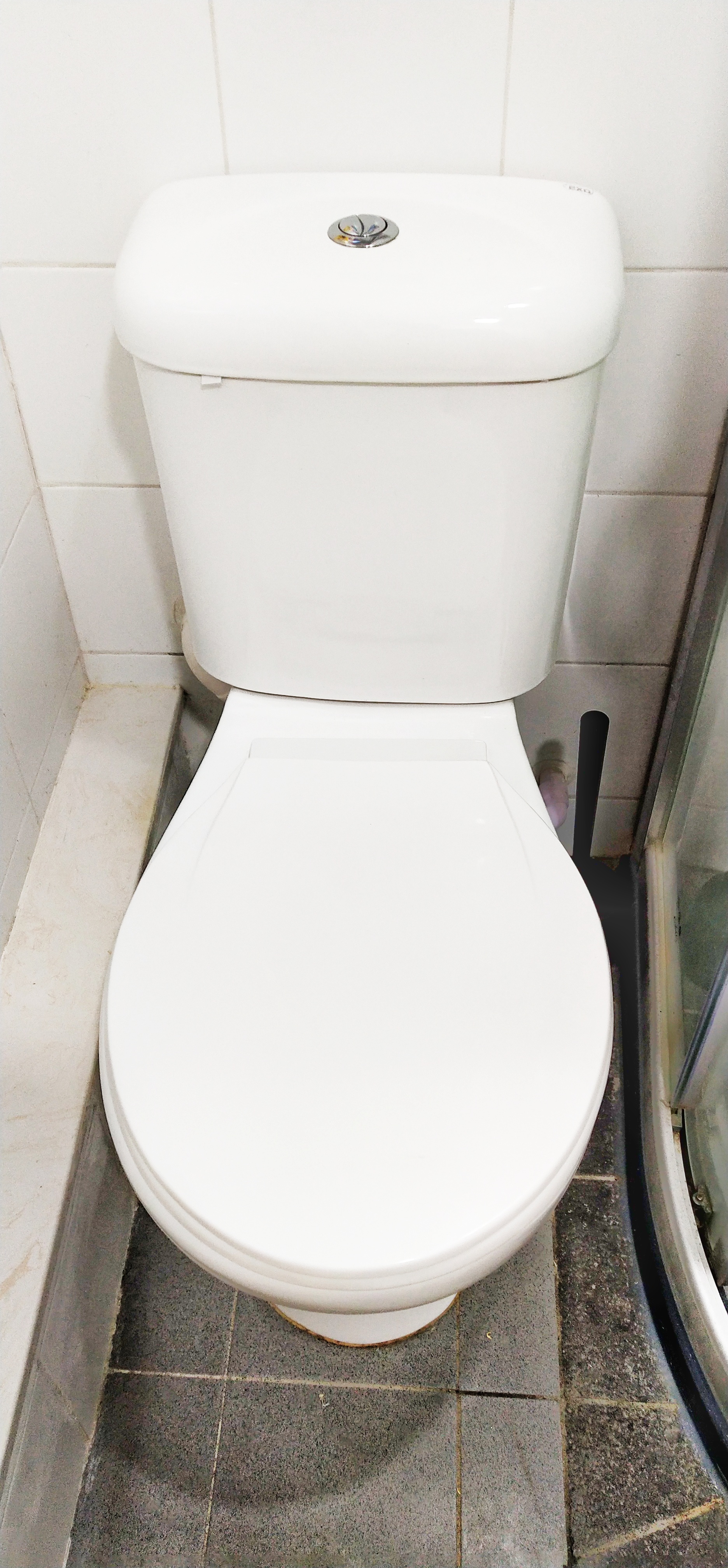 flushing toilet white color