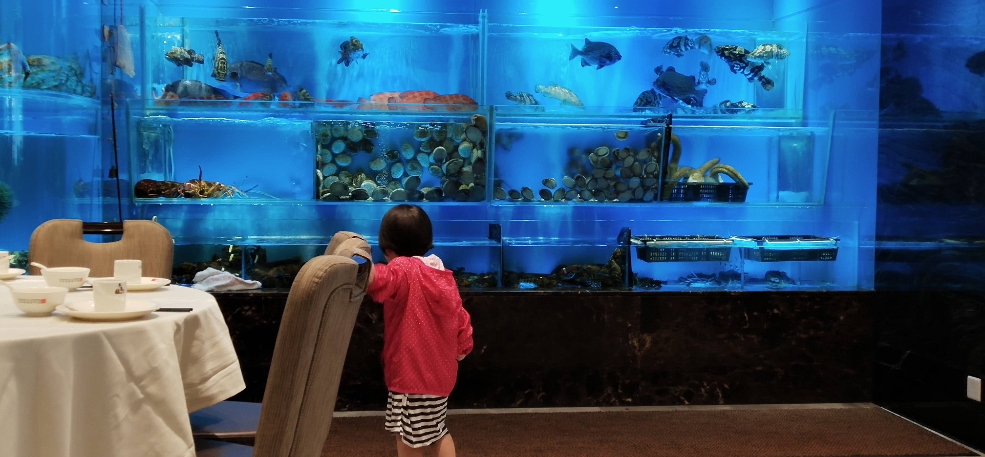 little girl stands in front of seafood aquarium
