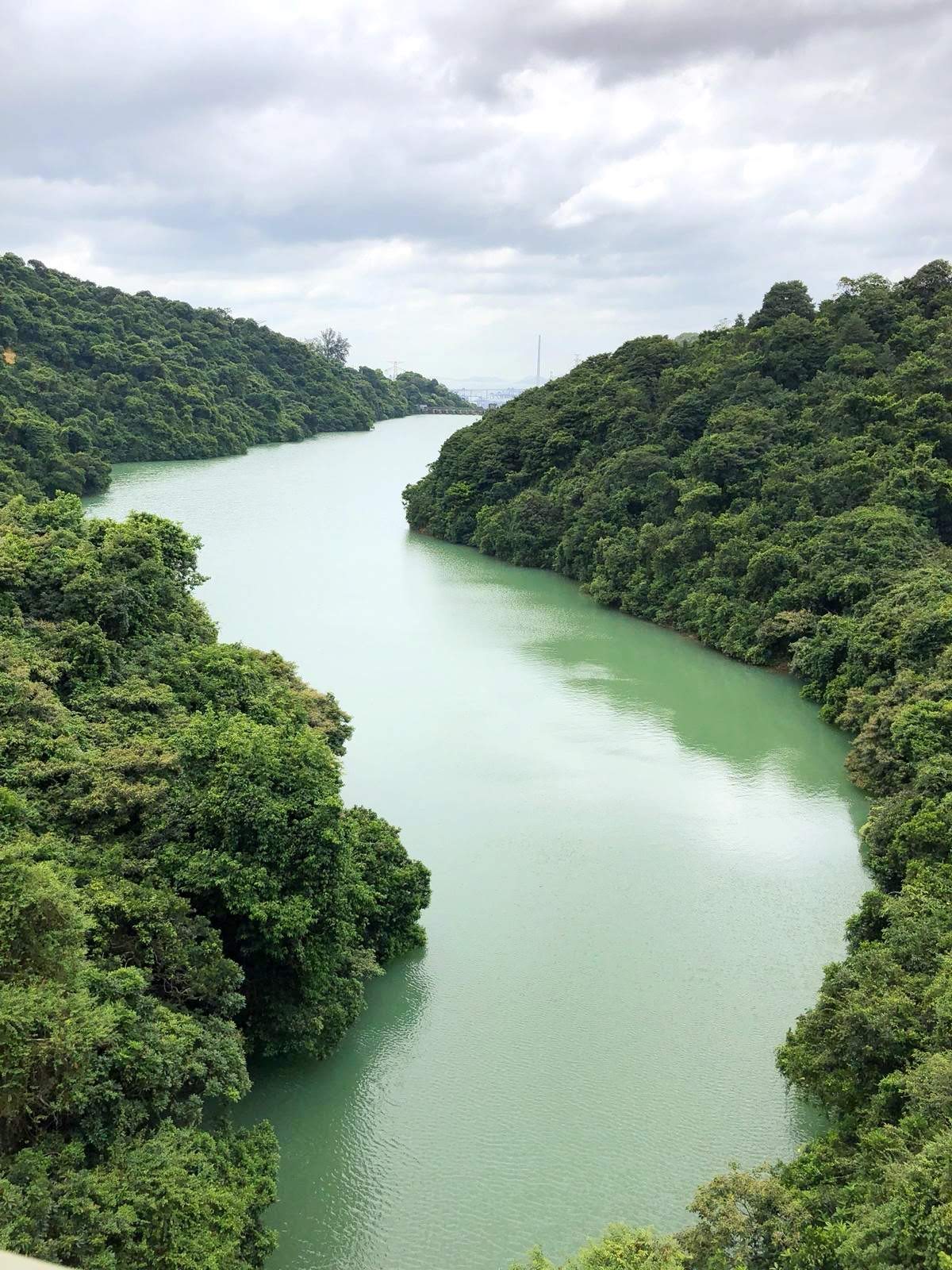 green hill with a lot of trees on two sides, water channel in the middle