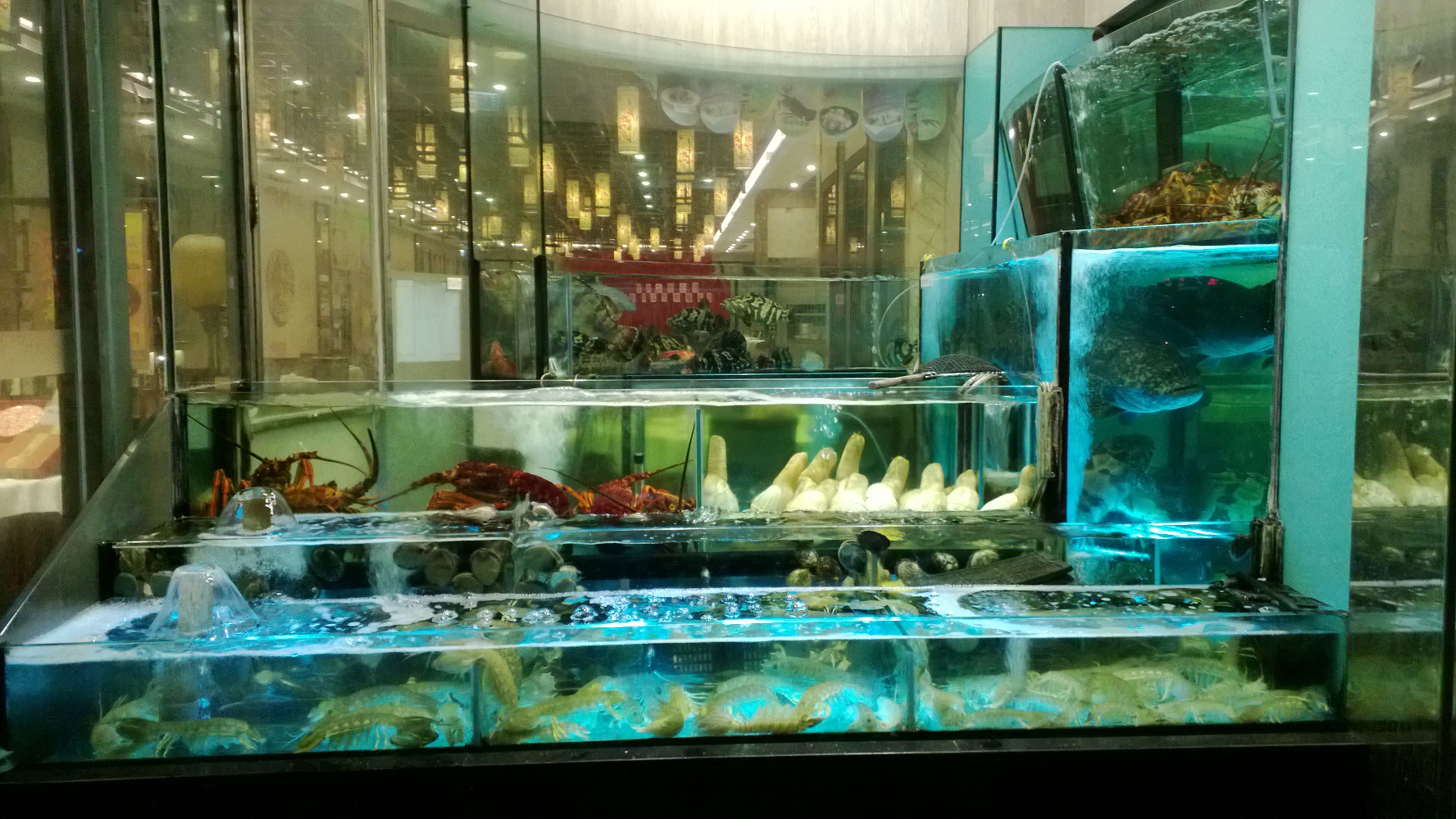 Seafood aquarium in a Cantonese restaurant