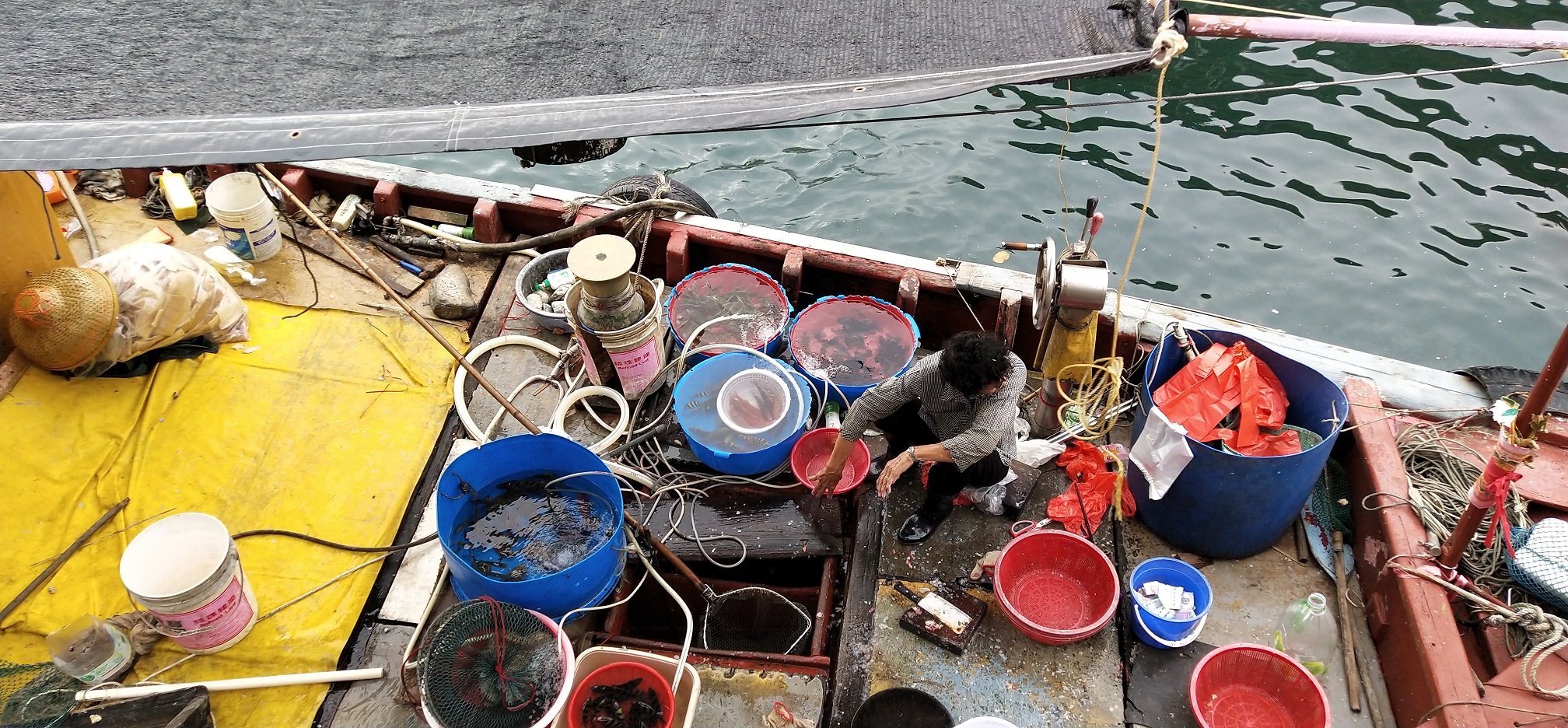 Fisherman is handling the fresh seafood for the customers.