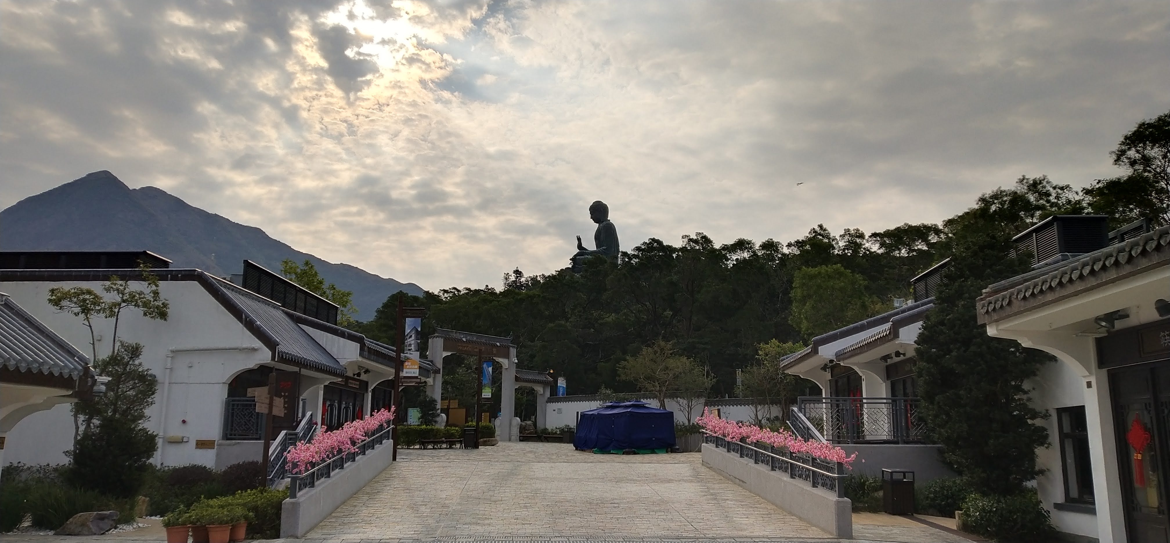 2019 riot still impacts Hong Kong tourism in early 2020. Photo taken on 29 Jan 2020 at Ngong Ping Big Buddha during Frank's last private Lantau tour.