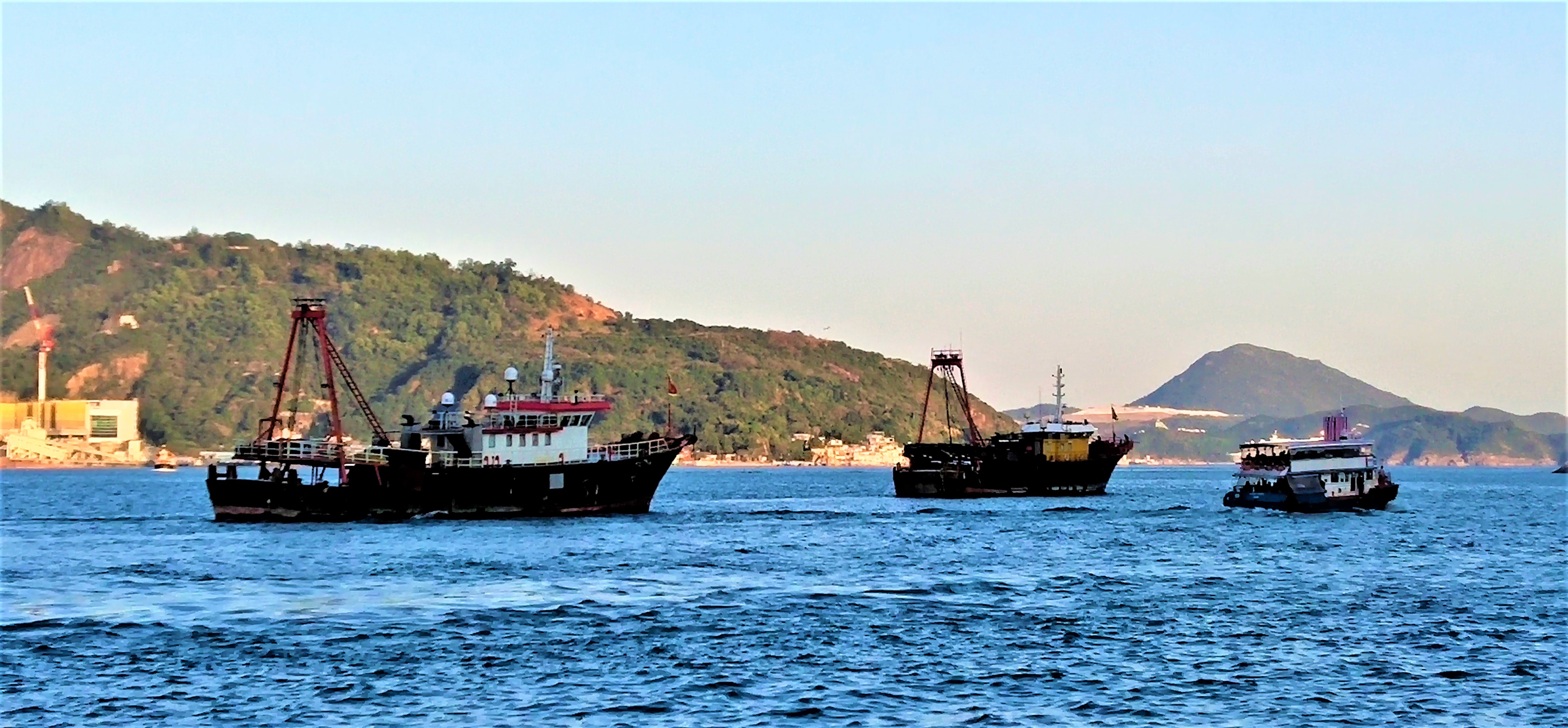 Fishing boats are going fishing from Shau Kei Wan Typhoon Shelter