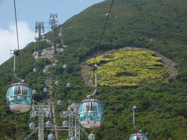 Ocean Park Cable Car and its seahorse logo.