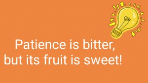 Patience is bitter, but its fruit is sweet