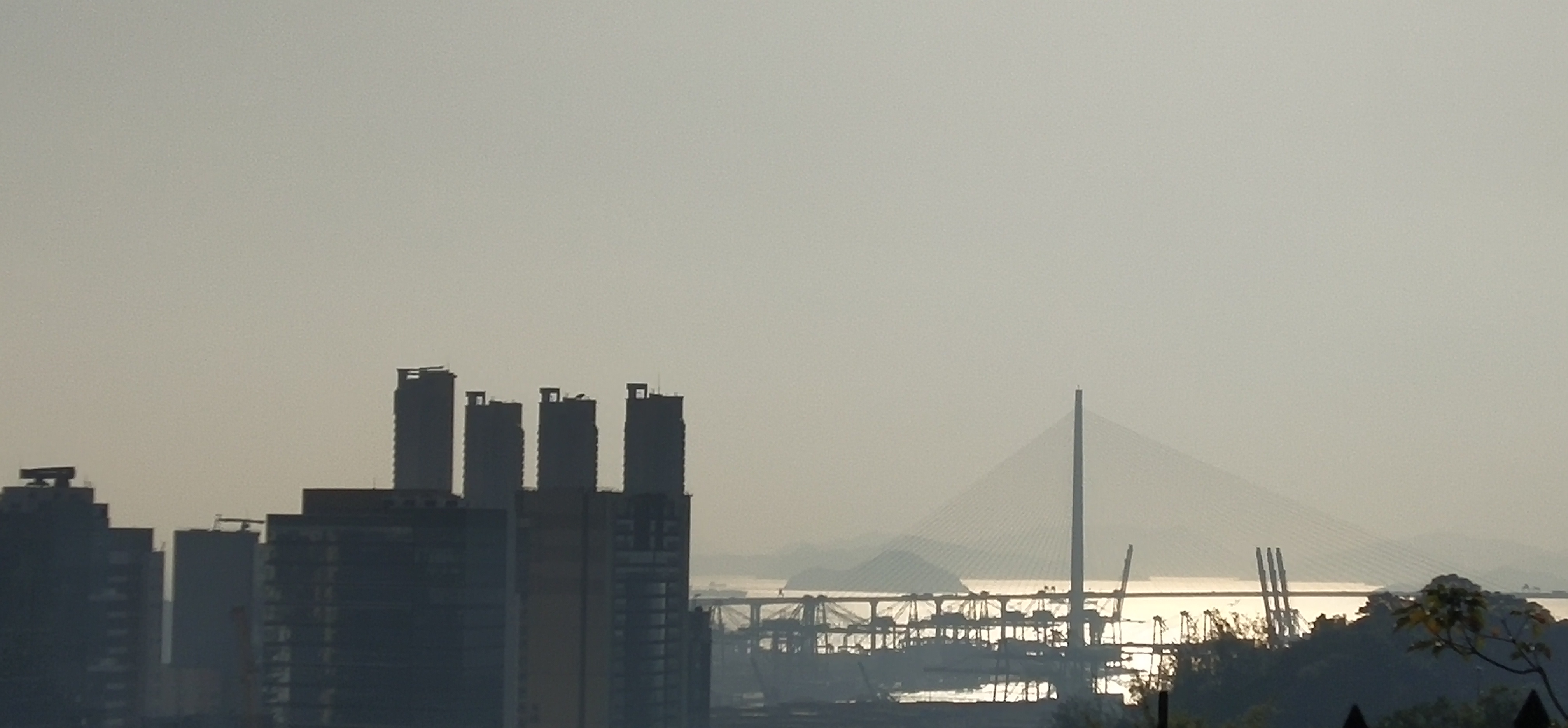 See the Stonecutters Bridge from Tai Po Road