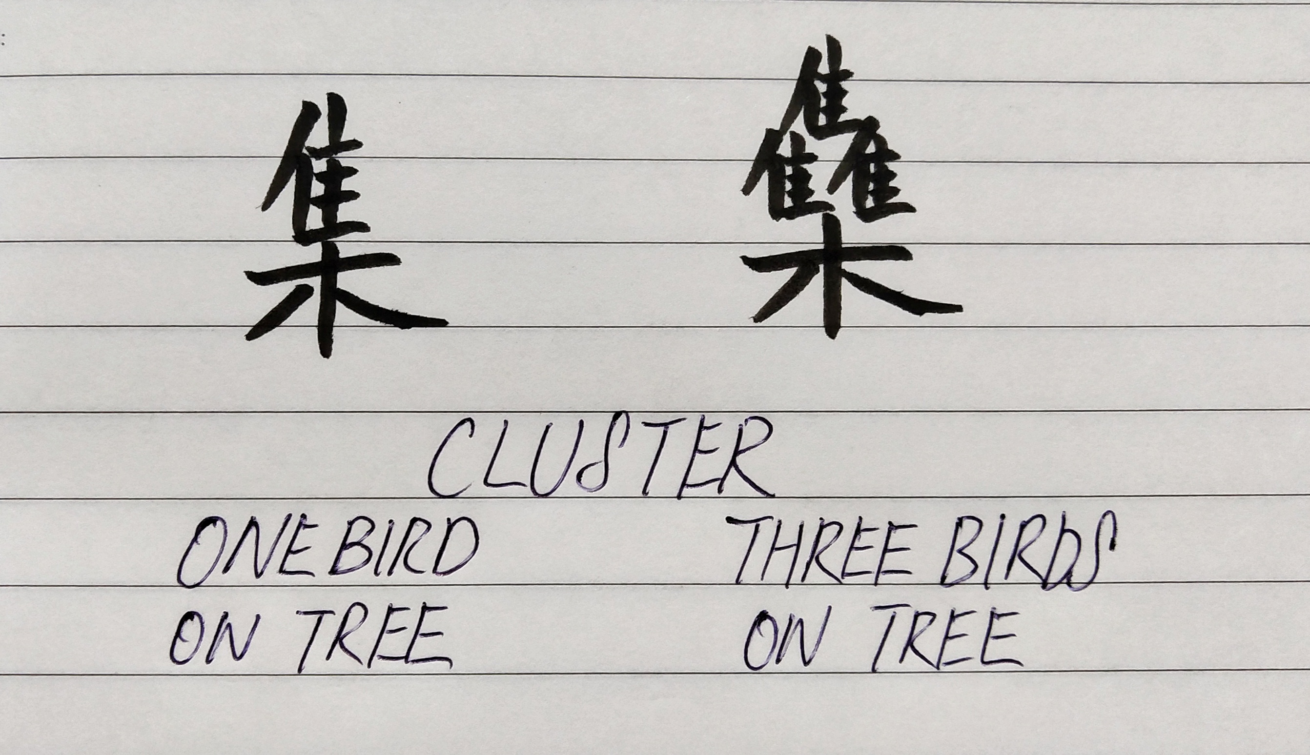 Two Chinese charaters for cluster. The left one is the common one. The right and the more complex one is a very rare character today.