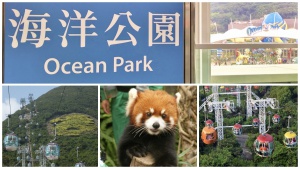 What benefits can travelers get from the reform of Hong Kong Ocean Park
