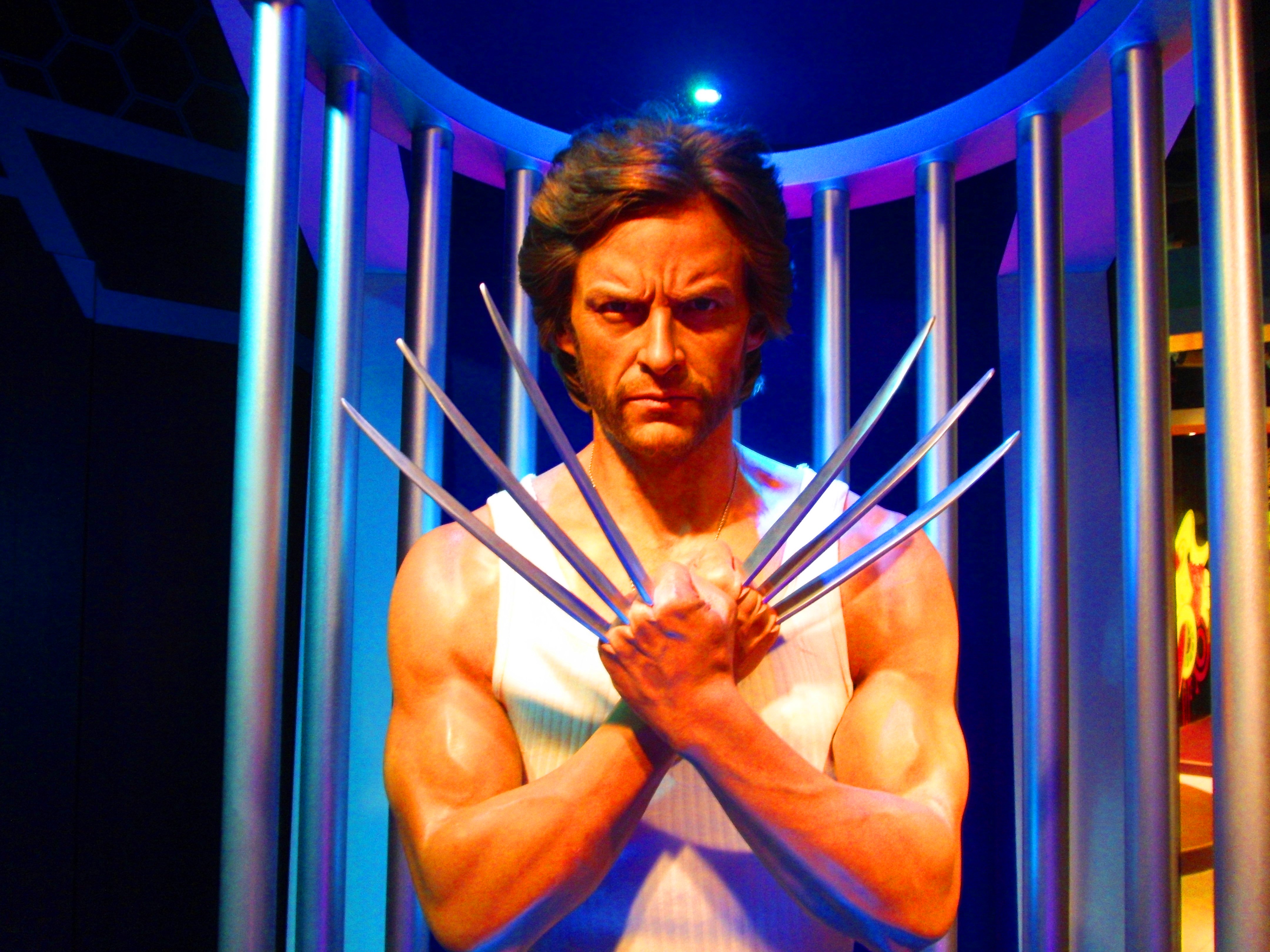 Wolverine wax figure at Madame TussaudsWolverine wax figure at Madame TussaudsWolverine wax figure at Madame Tussauds