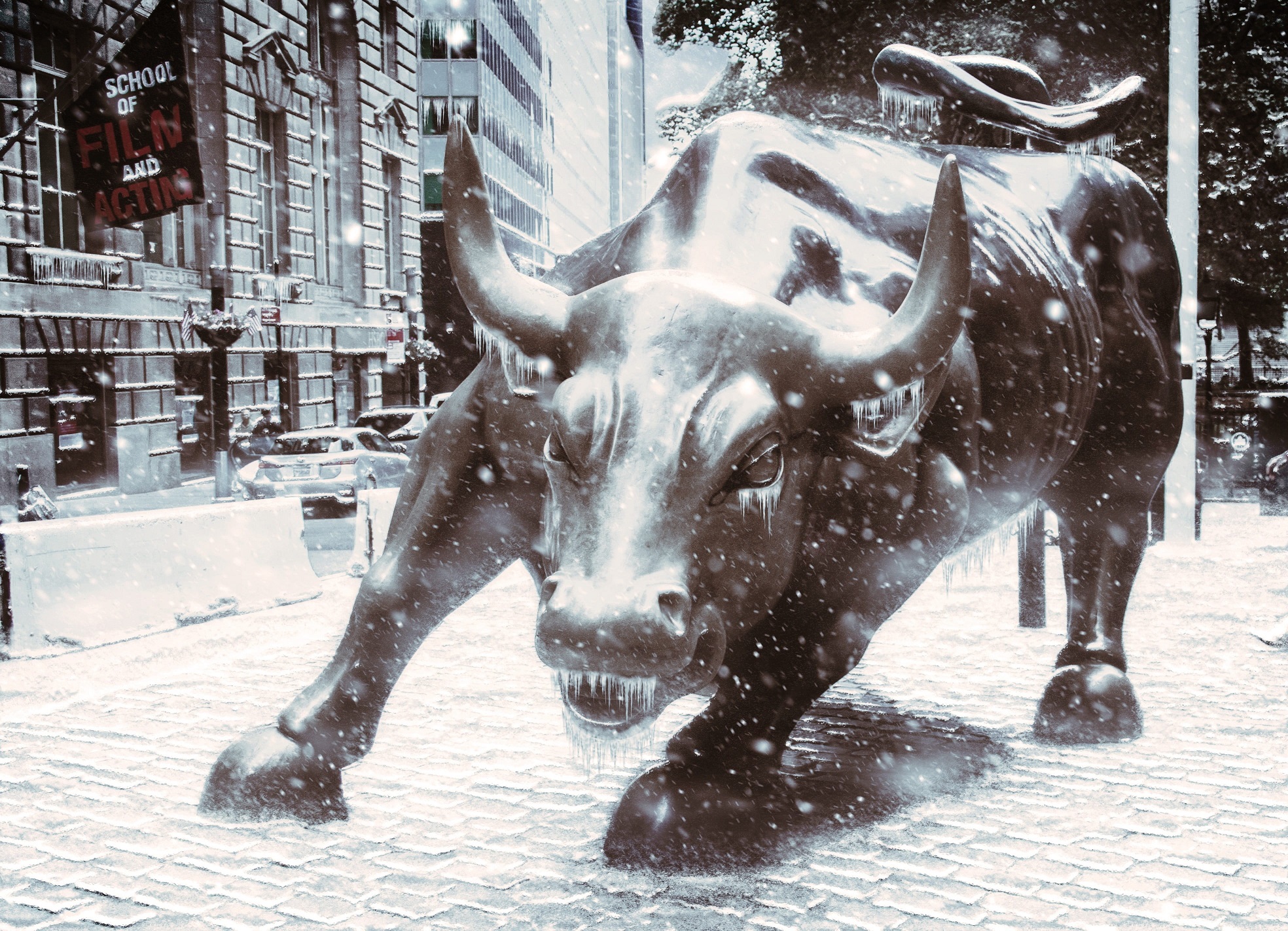 Charging Bull in the cold winter time