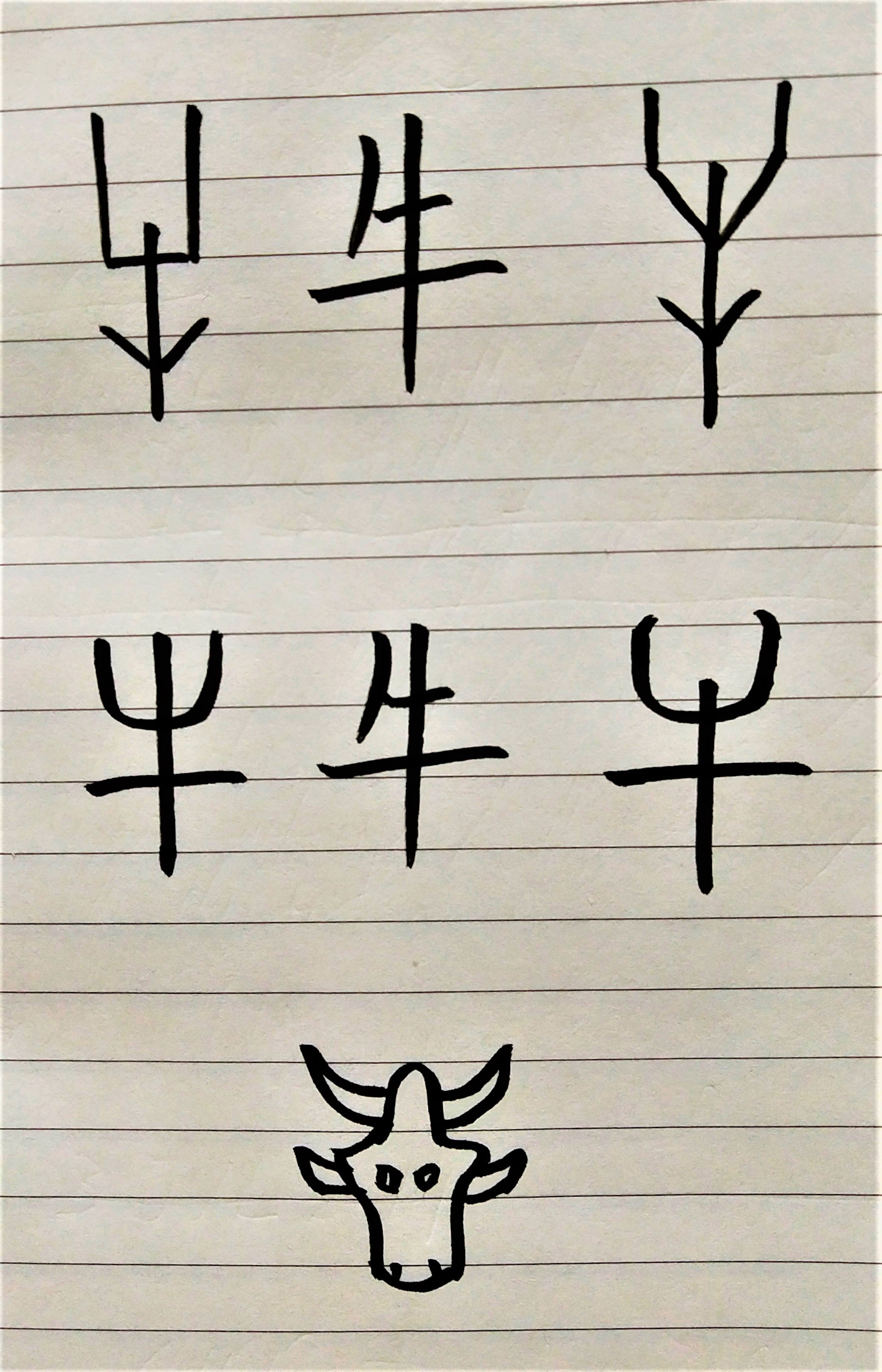 Different styles of Chinese character for ox