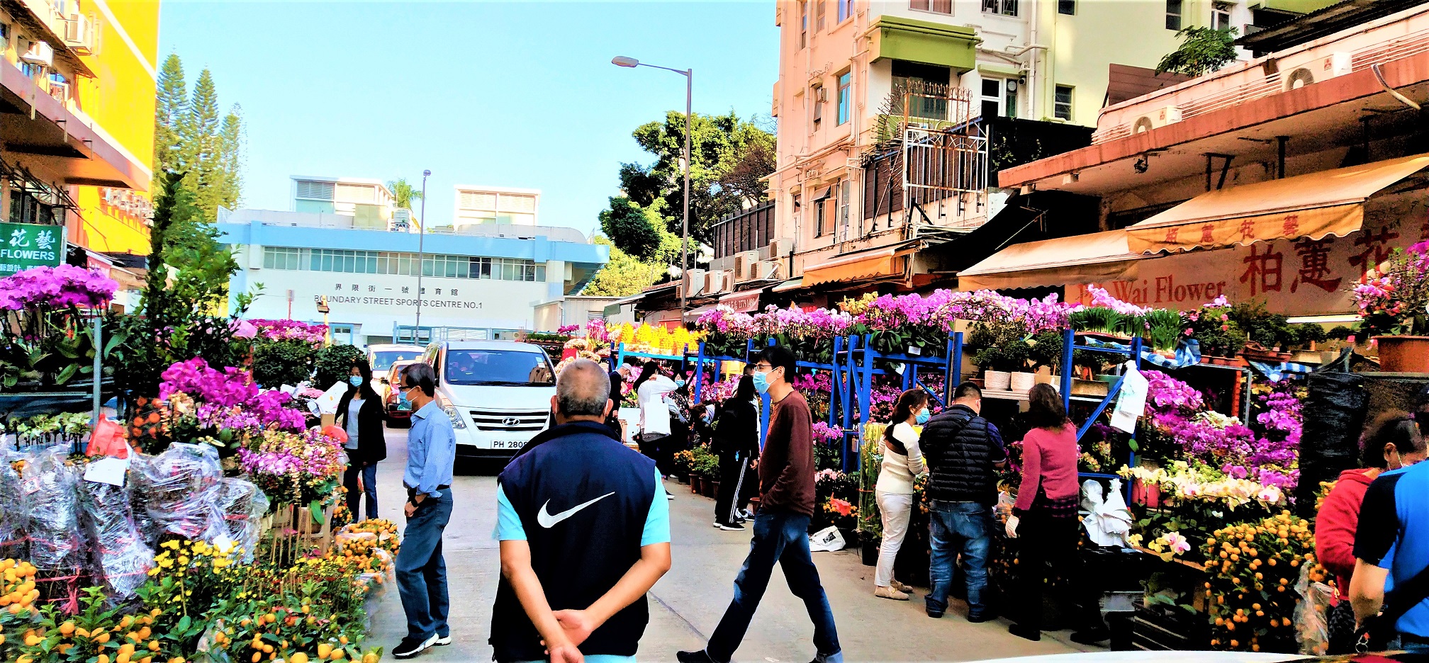 Even under the pandemic, Hong Kong citizens still flock to Flower Market to buy plants for the coming Chinese New Year.