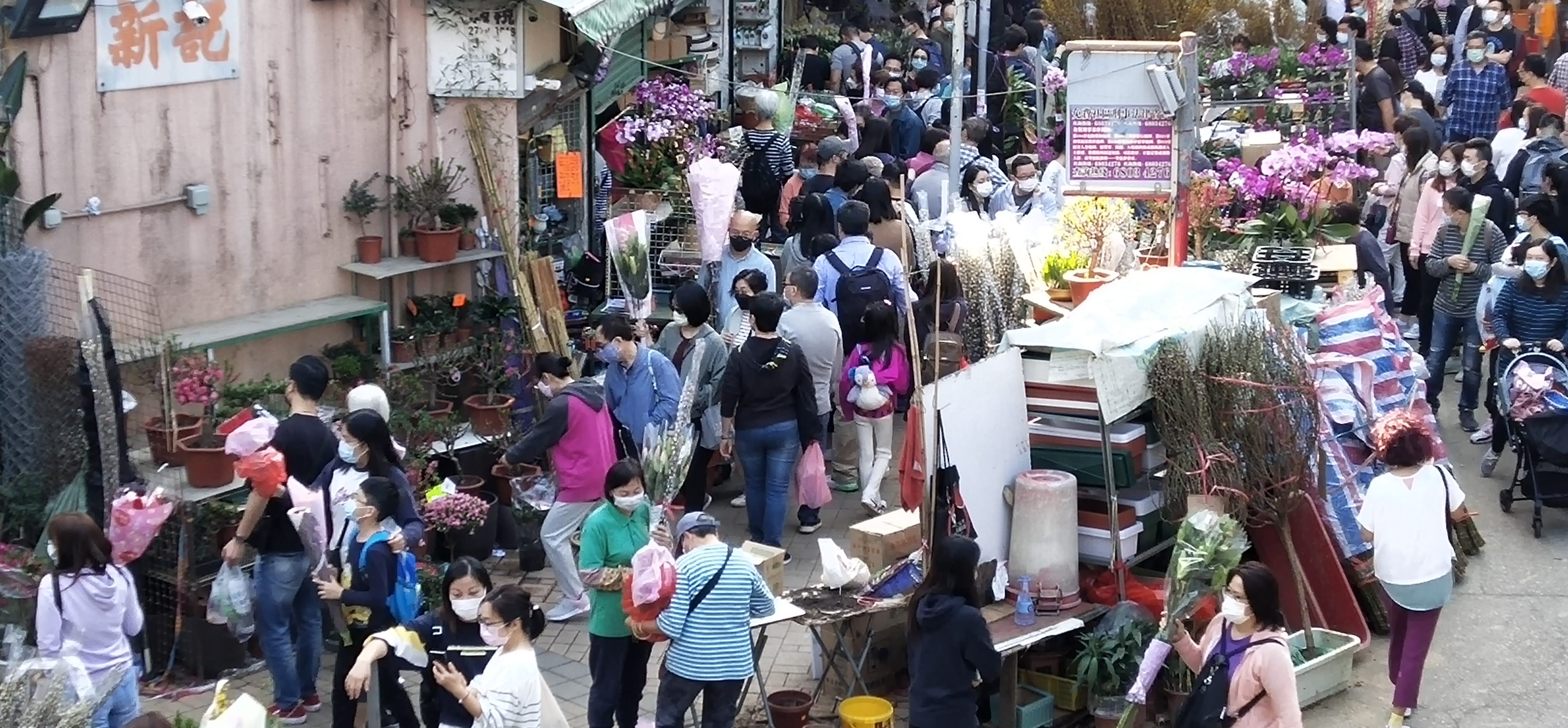 It is not easy to choose and buy flowers at the over-crowded Mong Kok's Flower Market before Chinese New Year.