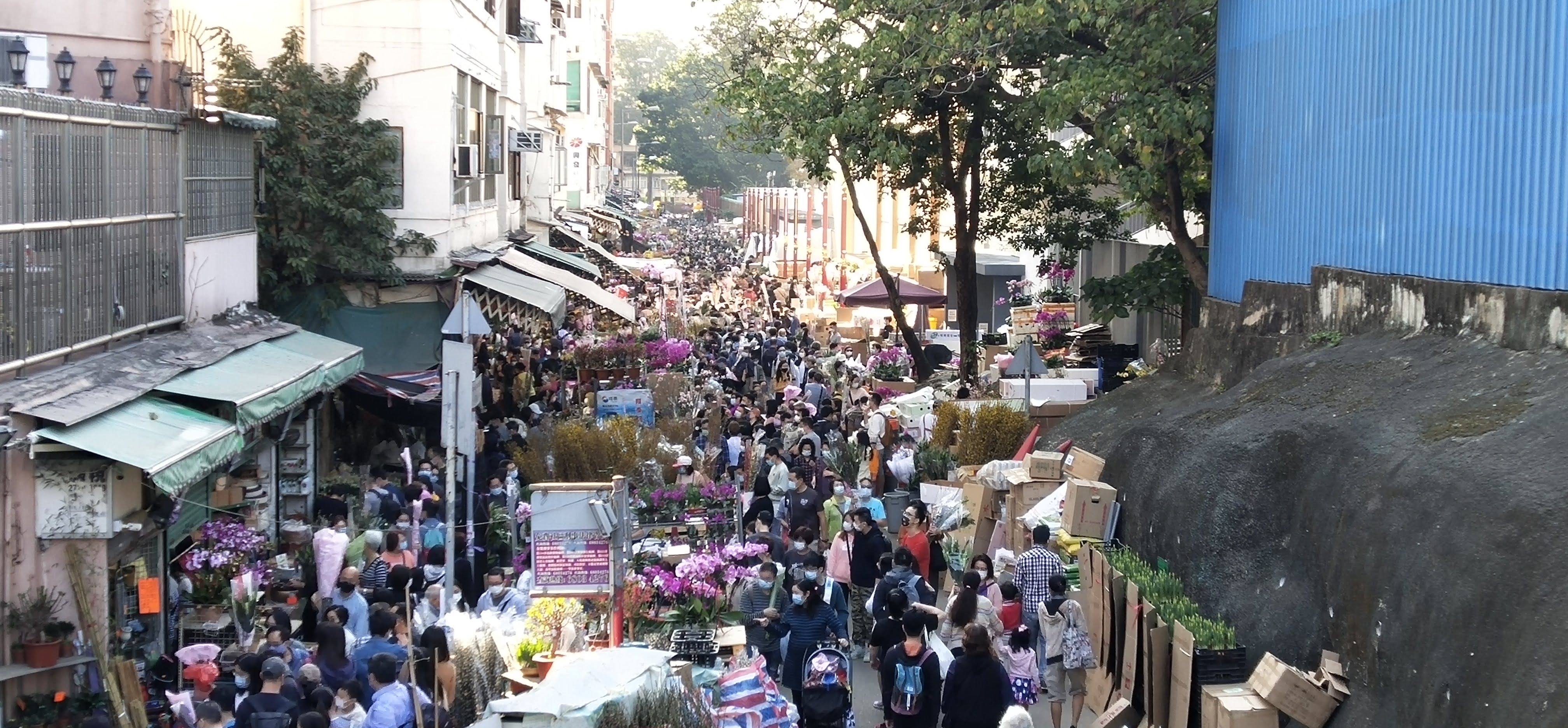 It is too crowded at Mong Kok's Flower Market
