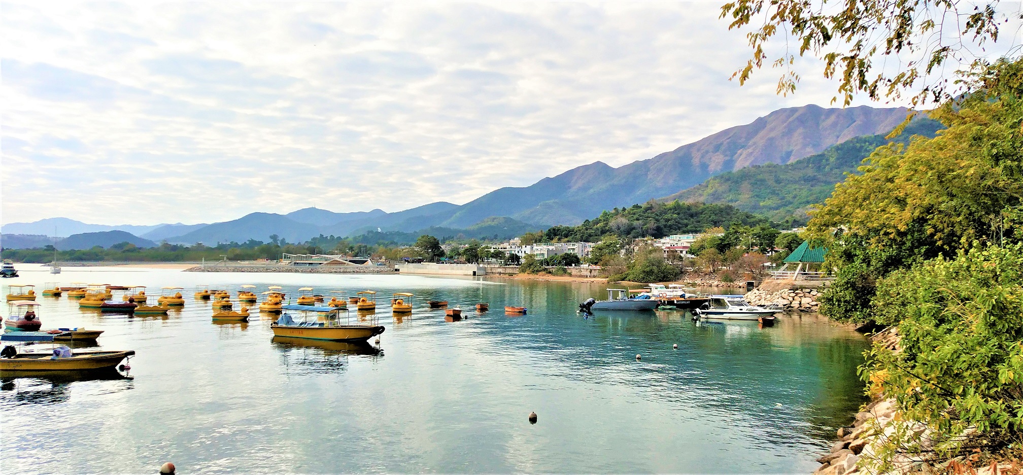 Plover Cove Reservoir is at the pretty Tai Mei Tuk.