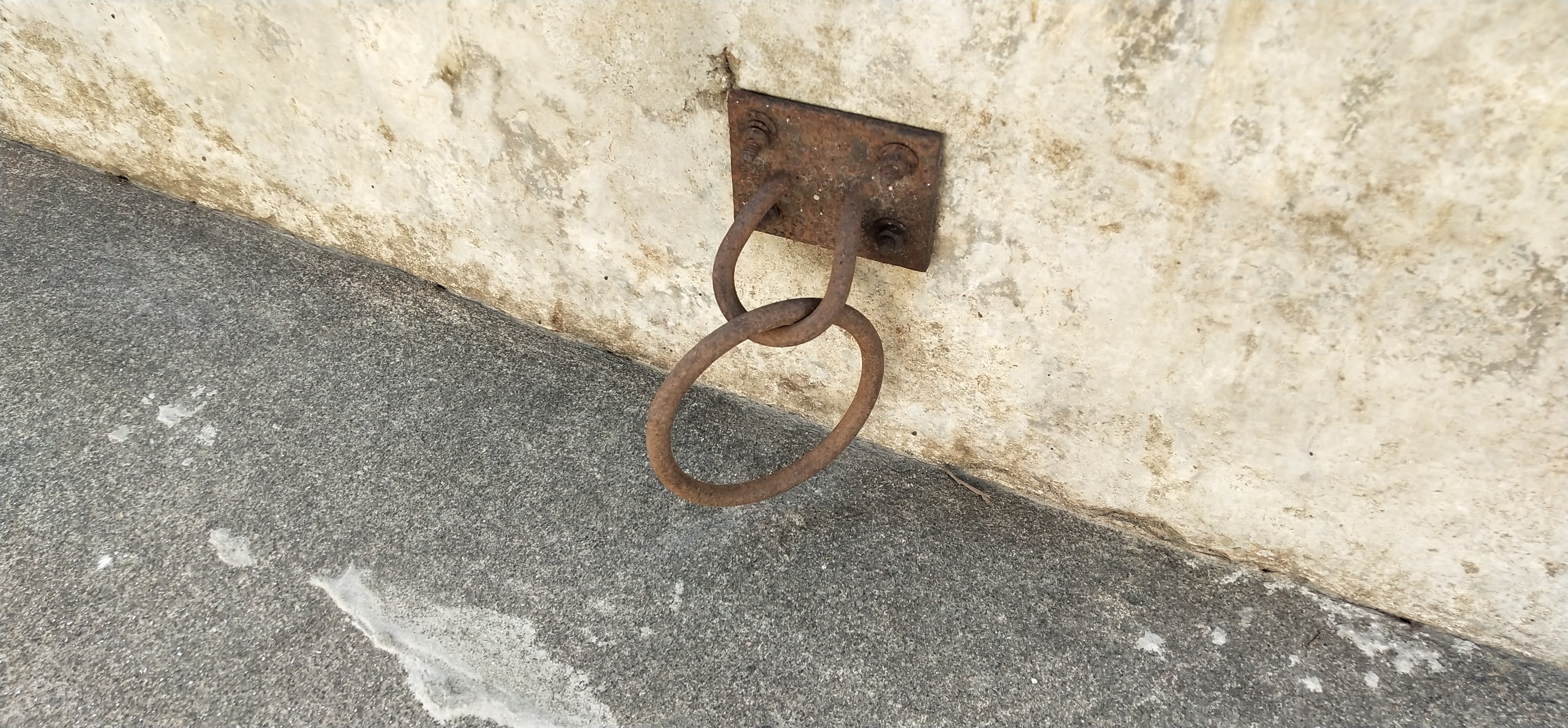 The metal ring for securing the cattle