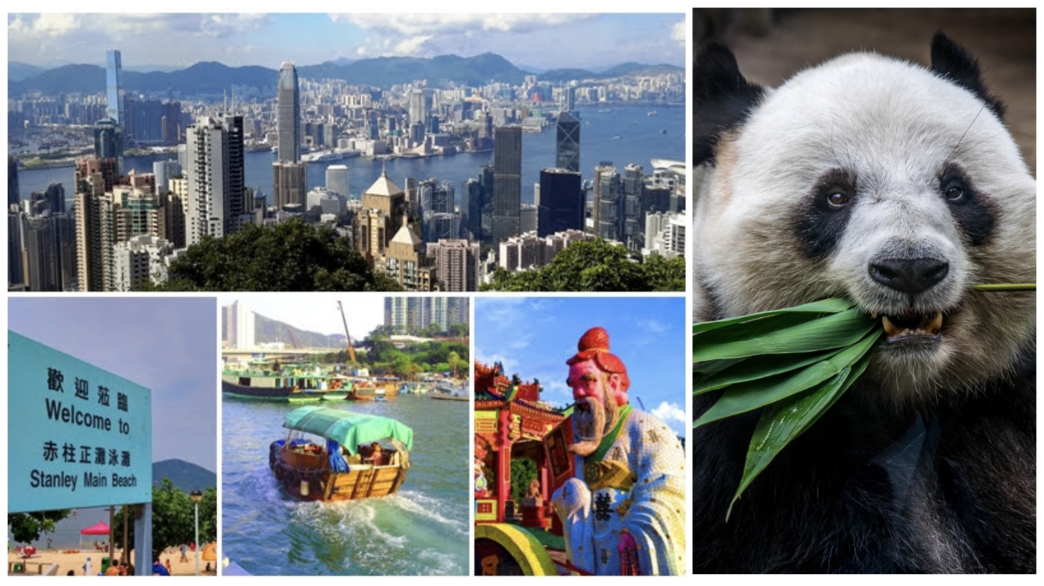 After visiting the highlights during Hong Kong Island Highlights private car tour, driver Sam can send you to Ocean Park to say hello to Giant Pandas.