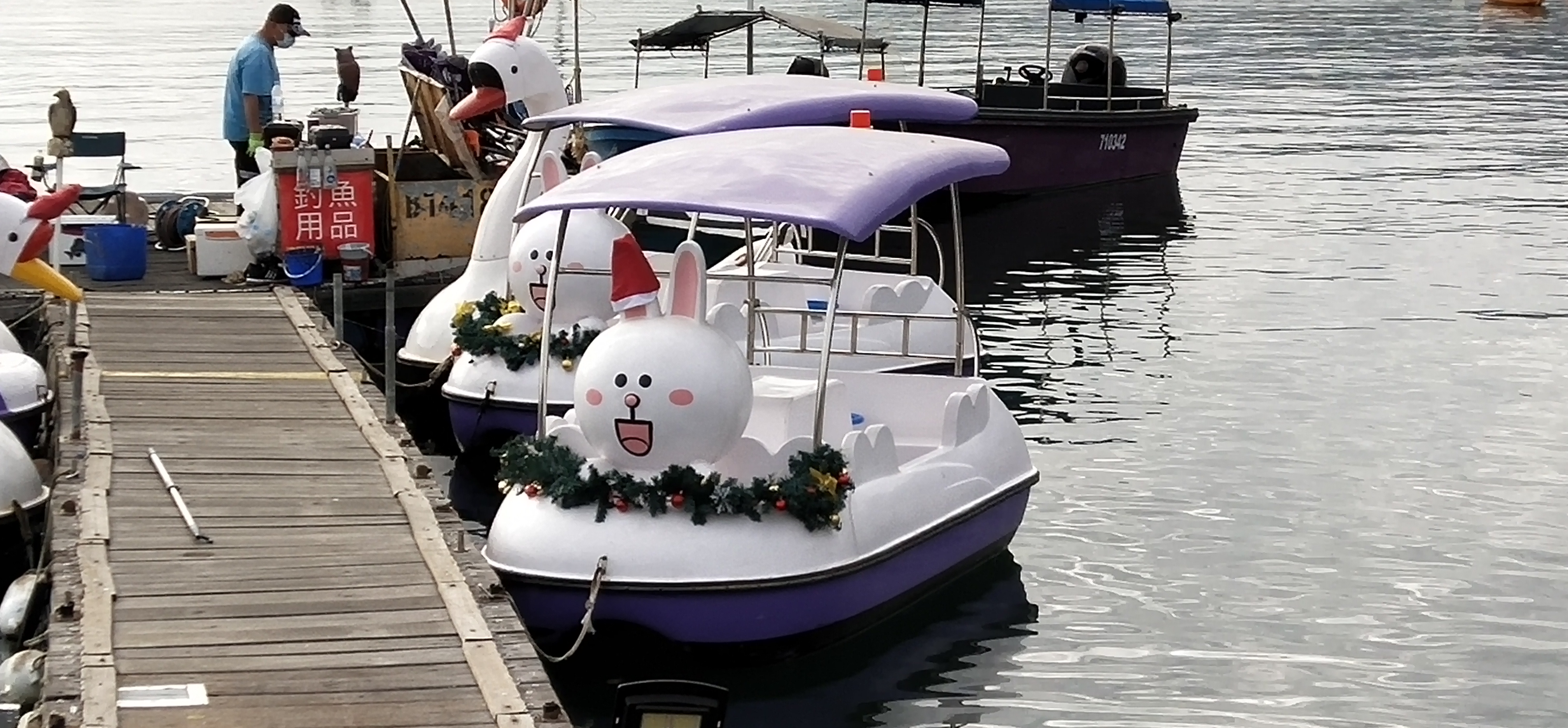 Cute water bike for rental.