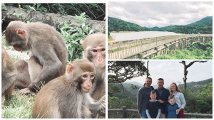 The best Hong Kong sightseeing point for families is Monkey Hill.