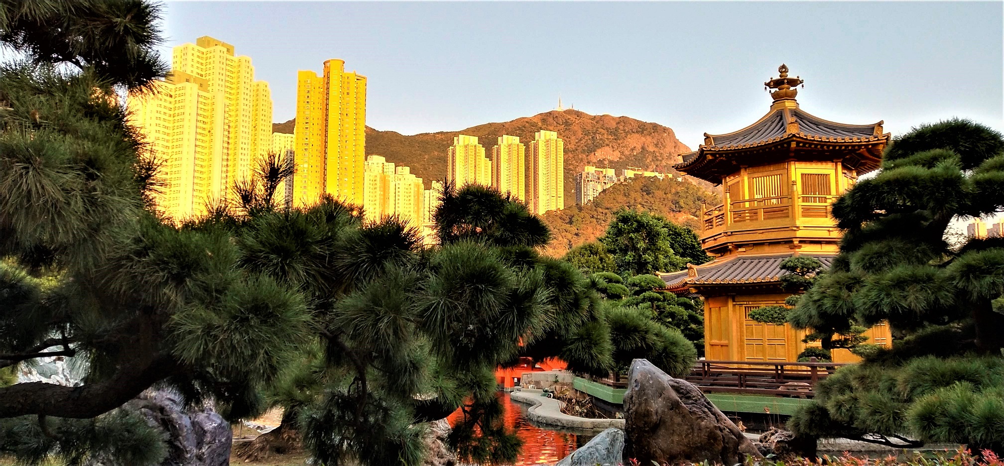 Big contrast between Nan Lian Garden and tall buildings.