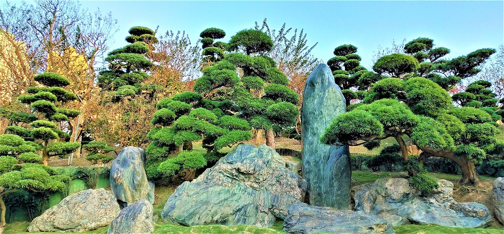 Exotic rocks and tall old trees in Nan Lian Garden