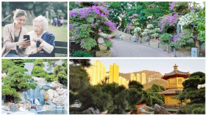 For your parents' Hong Kong trip, you should recommend Nan Lian Garden to them.