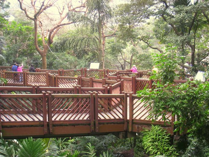 Raised walkway in Edward Youde Aviary of Hong Kong Park