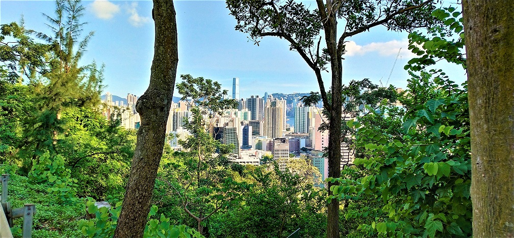 See big contrast between natural landscape and cityscape on Tai Po Road.