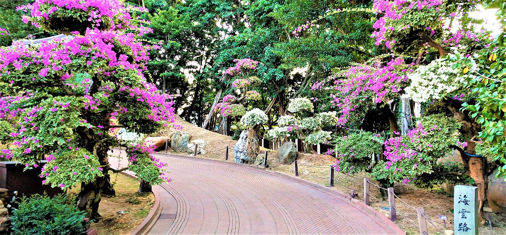 Smooth and flat walking path in Nan Lian Garden.