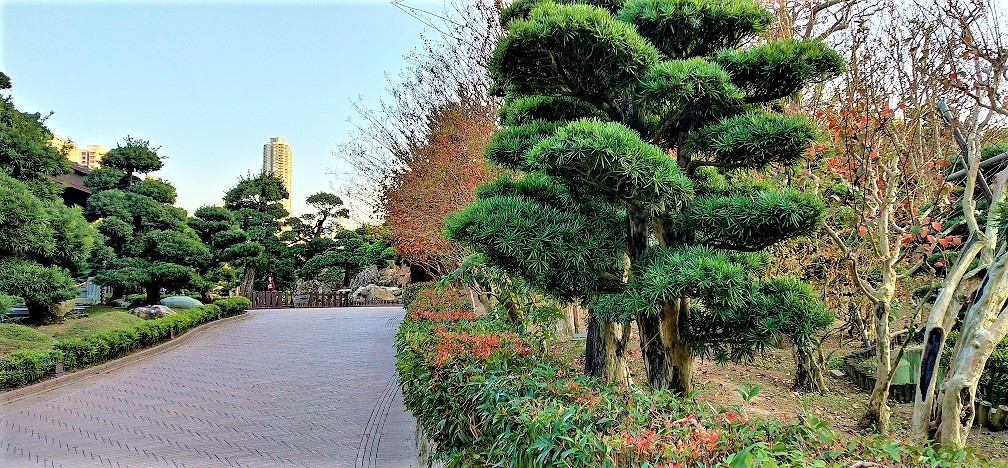 The big, even and well-paved path in the Nan Lian Garden.