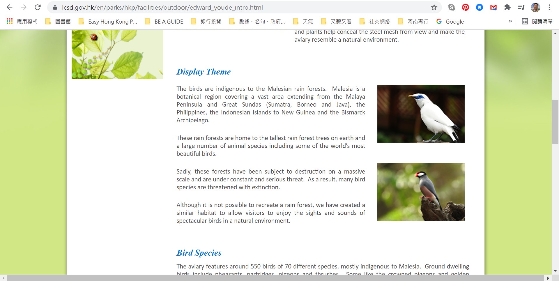 Web page of the Edward Youde Aviary of Hong Kong Park