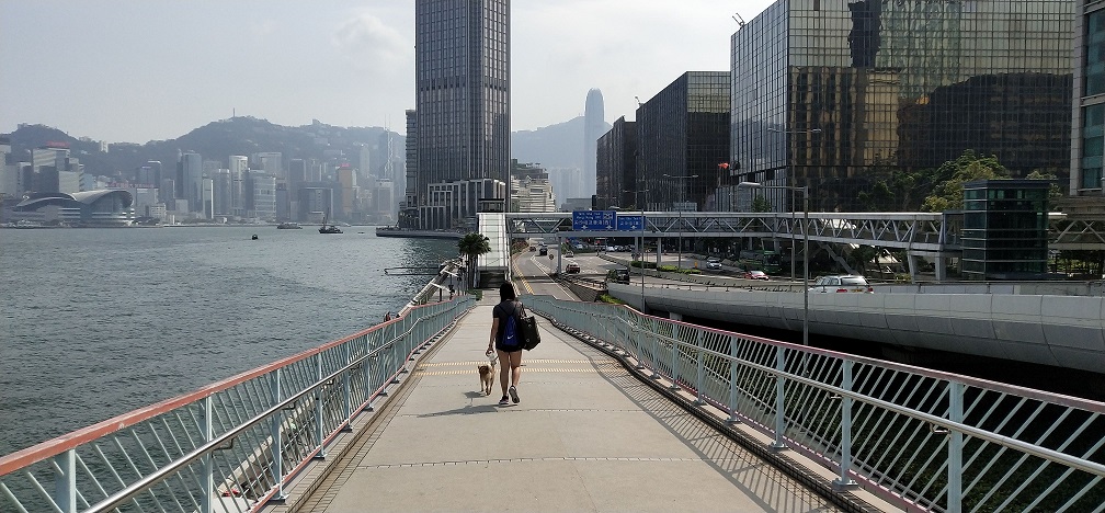 You can walk to Tsim Sha Tsui through the Hung Hom Promenade.