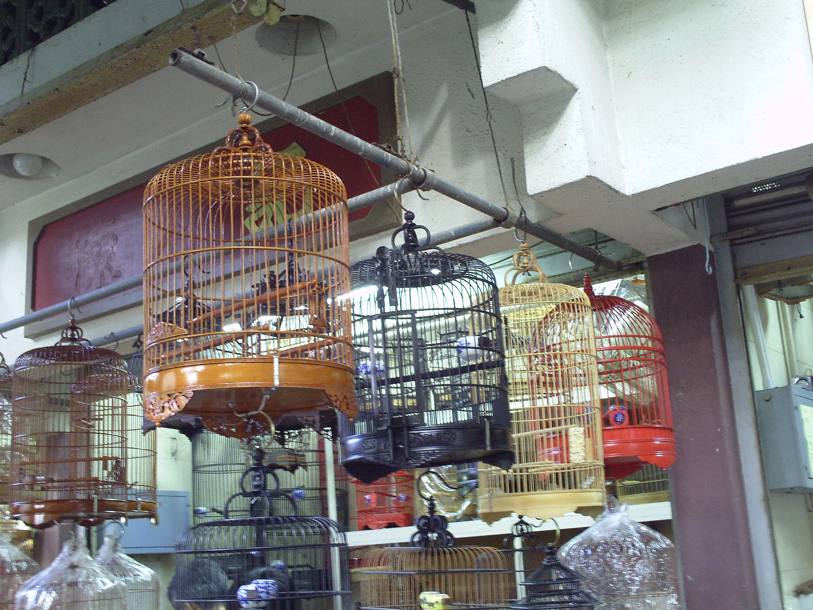 Bamboo bird cages