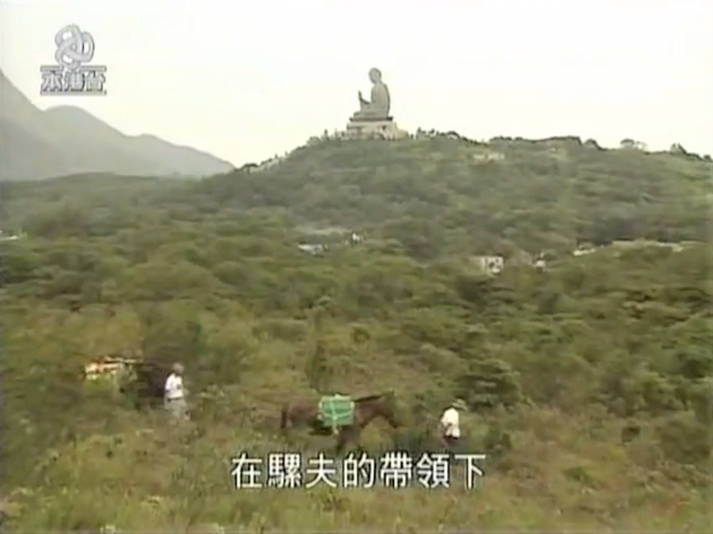 Mules and workers delivered the building materials to construction site of Ngong Ping 360 near Big Buddha in 2004.